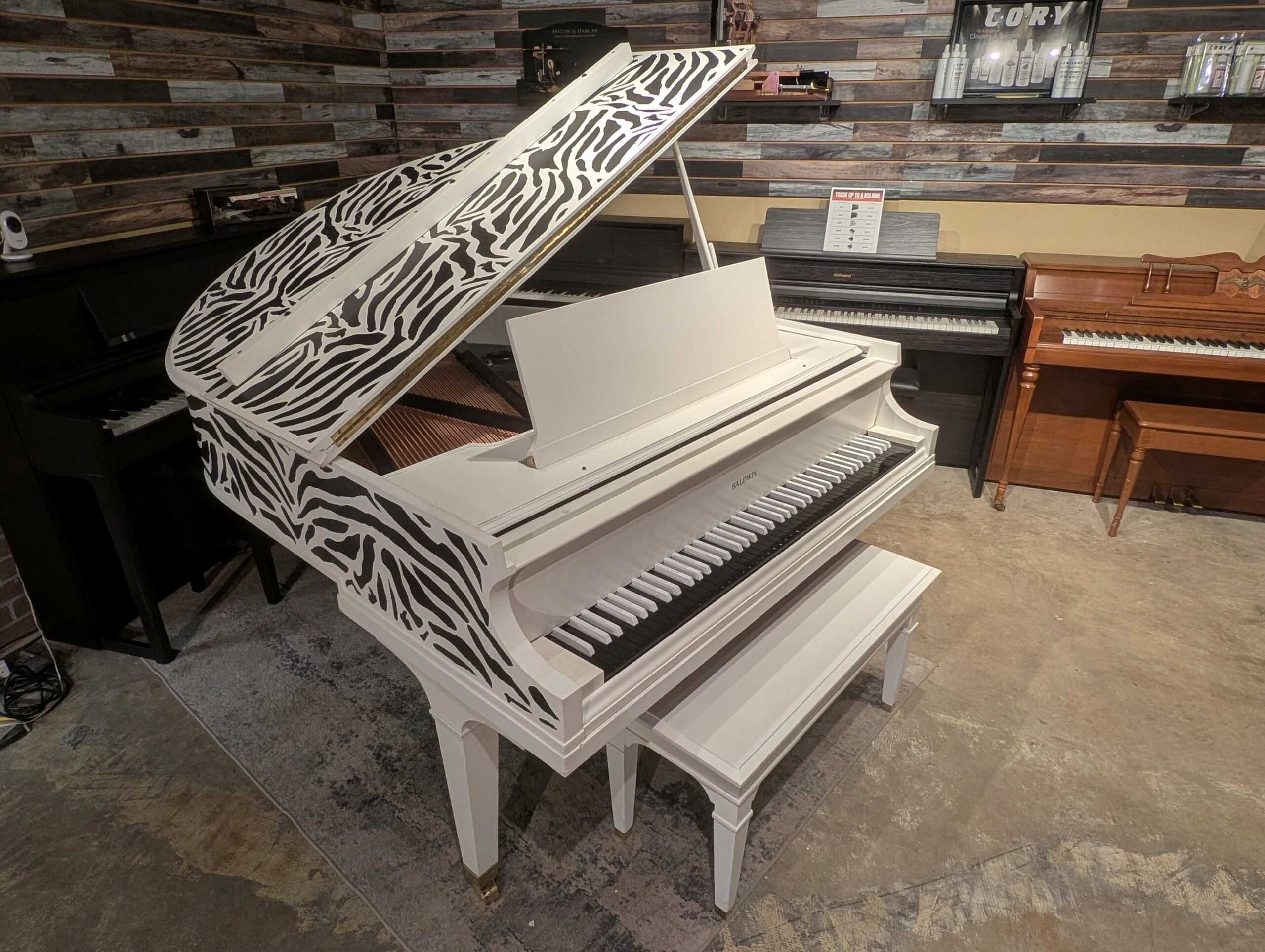 Baldwin Zebra